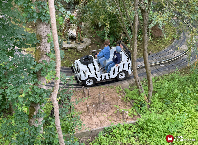 Zebra-Fahrzeug der Safari-Jeeps im Hansa-Park fährt durch eine Kurve mit künstlicher Giraffenfigur und entlang zahlreicher Erdmännchen zwischen Bäumen und Pflanzen, zwei Kinder genießen die Fahrt
