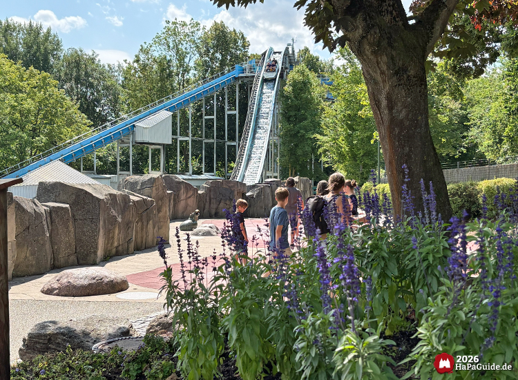 Wasserbahn Super Splash im Hansa-Park mit blauem Lifthill und Boot auf der Abfahrt, Besuchende beobachten die Fahrt zwischen Felsen und lila Blüten im Vordergrund