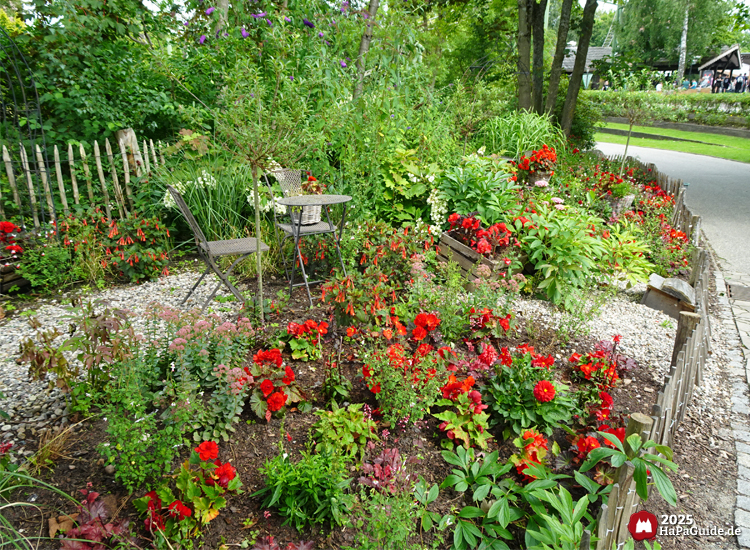 Sommerblüte - Blumenbeet im Hansa-Garten