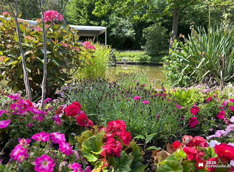 Blühender Garten am Teich der Fernlenkschiffe im Hansa-Park mit pinken und roten Blumen, grünen Pflanzen und Bäumen, im Hintergrund überdachter Steg am Wasser