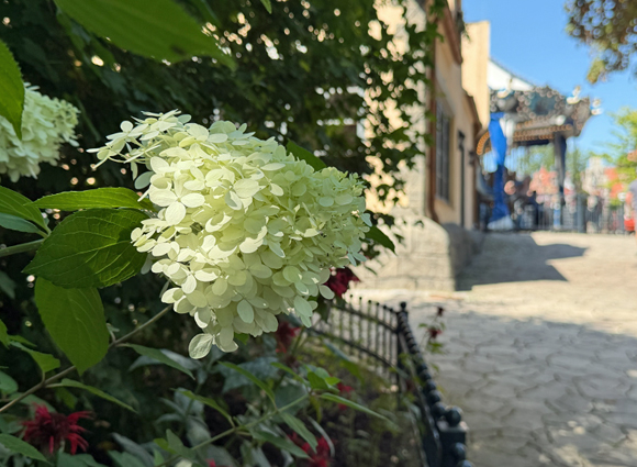 Bilder-Galerie öffnen