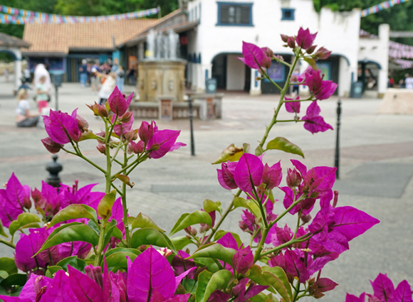 Bilder-Galerie öffnen