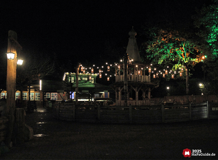 Tierkinder vom Peterhof - Lichterketten überspannen das Karussell bei Dunkelheit
